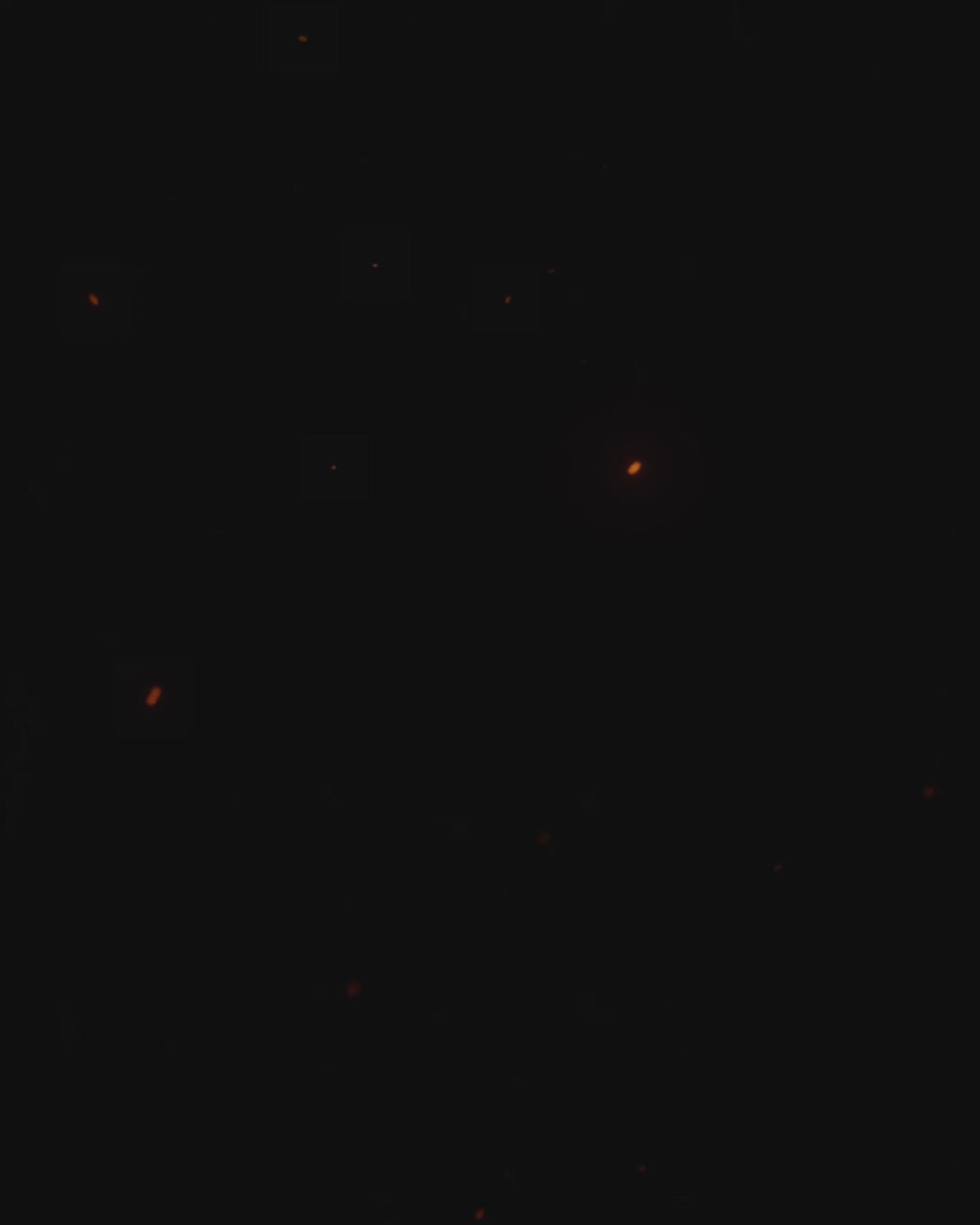 Still from a delivered motion flyer — stage lighting reveal