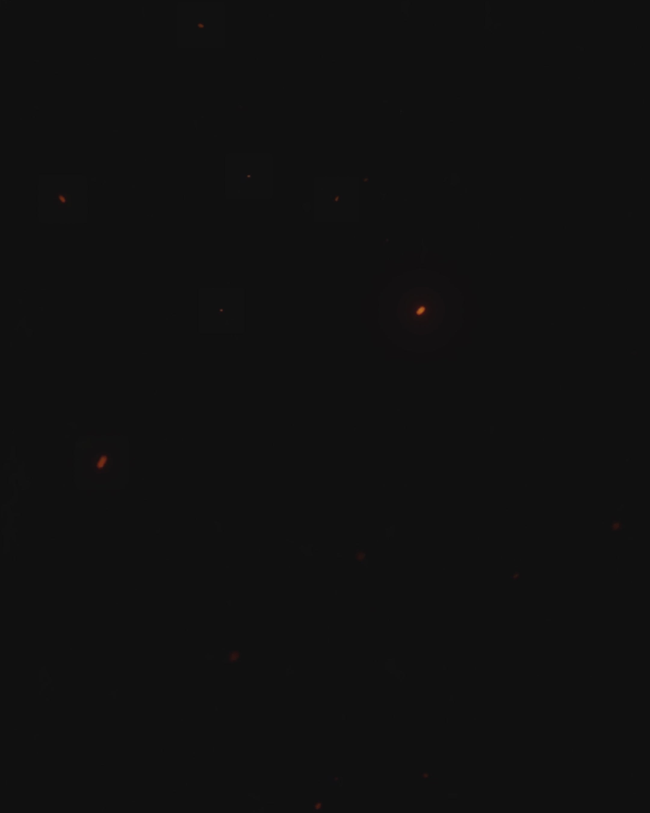 Still from a delivered motion flyer — stage lighting reveal